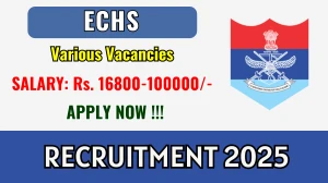 ECHS Recruitment 2025 - Apply Offline for 13 Driver, Safaiwala and More Posts ECHS Recruitment 2025 - Apply Offline for 13 Driver, Safaiwala and More Posts