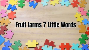 Fruit farms 7 Little Words 8 letters Answer