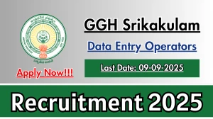 GGH Srikakulam Data Entry Operators Recruitment 2025 - Apply Offline for 14 Posts