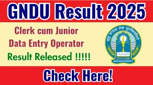 GNDU Clerk cum Junior Data Entry Operator Final Result 2025 Out at online.gndu.ac.in, Direct Link to Download Result PDF Here GNDU Clerk cum Junior Data Entry Operator Final Result 2025 Out at online.gndu.ac.in, Direct Link to Download Result PDF Here