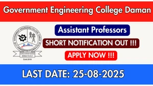 Government Engineering College Daman Assistant Professors Recruitment 2025 - Apply Offline for 04 Posts