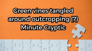 Green vines tangled around outcropping (7) Minute Cryptic Answer 31 August 2025