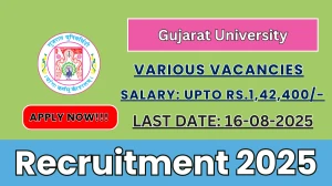 Gujarat University Recruitment 2025 - Apply Online for 13 Section Officer, Senior Clerk and More Posts