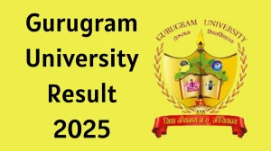 Gurugram University Result 2025 Released at gurugramuniversity.ac.in Direct Link to Download 6th Semester Result
