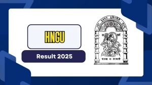 HNGU Result 2025 Out at ngu.ac.in Direct Link to Download 2nd Semester Result HNGU Result 2025 Out at ngu.ac.in Direct Link to Download 2nd Semester Result