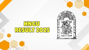 HNGU Result 2025 Out at ngu.ac.in Direct Link to Download 4th Semester Result