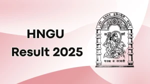 HNGU Result 2025 Released at ngu.ac.in Direct Link to Download 2nd, 4th Sem Result