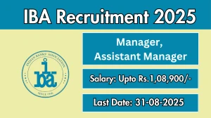 IBA Recruitment 2025 - Apply Offline for 03 Manager, Assistant Manager Posts