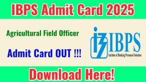 IBPS AFO Admit Card 2025 OUT Download Link ibps.in