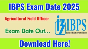 IBPS AFO Exam Date 2025 Out for 310 Posts at ibps.in Check Details Here IBPS AFO Exam Date 2025 Out for 310 Posts at ibps.in Check Details Here