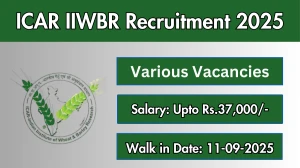 ICAR IIWBR Recruitment 2025 – Walk in for 02 SRF, Field Work and More Posts ICAR IIWBR Recruitment 2025 – Walk in for 02 SRF, Field Work and More Posts