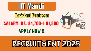 IIT Mandi Assistant Professor Recruitment 2025 - Apply Online IIT Mandi Assistant Professor Recruitment 2025 - Apply Online