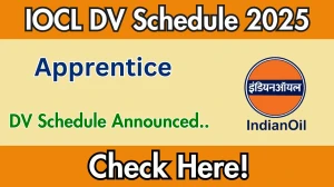 IOCL Apprentice DV Schedule 2025: Check Document Verification Date @ iocl.com