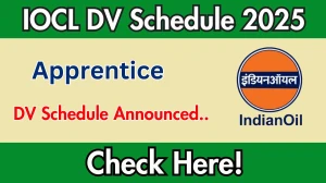IOCL Apprentice DV Schedule 2025: Check Document Verification Date @ iocl.com IOCL Apprentice DV Schedule 2025: Check Document Verification Date @ iocl.com