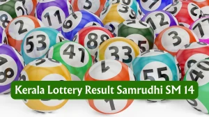 Kerala Lottery Result Today 04.08.2025 Bhagyathara BT 14 Out: Check All Bhagyathara BT 14 Bumper Winning Numbers Here