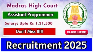 Madras High Court Assistant Programmer Recruitment 2025 - Apply Online for 41 Posts