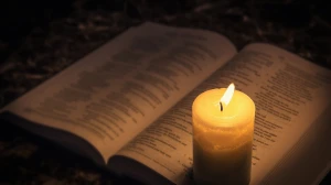 Maharashtra Govt Approves Revised ₹3,346 Cr Plan for Modernisation of BEST's Power Segment