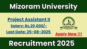Mizoram University Project Assistant II Recruitment 2025 - Apply Offline