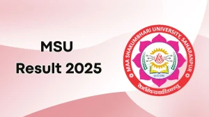 MSU Result 2025 Released at msuresults.com Direct Link to Download 2nd, 4th Sem Result