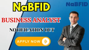 NaBFID Business Analyst Recruitment 2025 - Apply Online for 10 Posts NaBFID Business Analyst Recruitment 2025 - Apply Online for 10 Posts