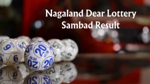 Nagaland Dear Lottery Sambad Result Today 09/08/2025 6 PM Out: Check all Dear Donner Saturday Lucky Winning Numbers Here