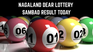 Nagaland Dear Lottery Sambad Result Today 09/08/2025 6 PM: Check all Dear Donner Saturday Lucky Winning Numbers Here