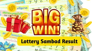 Nagaland Dear Lottery Sambad Result Today 20/08/2025 8 PM OUT: Check all Dear Pelican Wednesday Winning Numbers Here