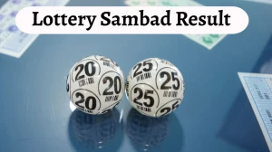 Nagaland Dear Lottery Sambad Result Today 02/09/2025 8 PM OUT: Check all Dear Goose Tuesday Winning Numbers Here