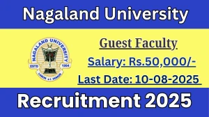 Nagaland University Guest Faculty Recruitment 2025 - Apply Offline