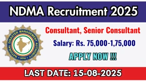 NDMA Recruitment 2025 - Apply Offline for 03 Consultant, Senior Consultant Posts