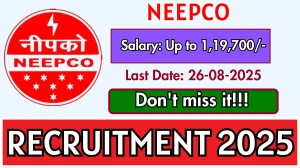 NEEPCO Senior Hindi Translator Recruitment 2025 - Apply Online for 1 Posts