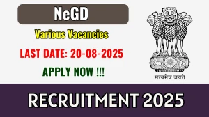 NeGD Recruitment 2025 - Apply Online for 33 Consultant, Head SeMT and More Posts