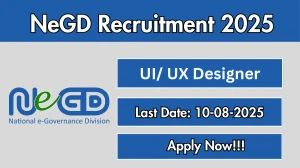 NeGD UI/ UX Designer Recruitment 2025 - Apply Online