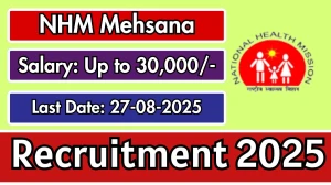 NHM Mehsana Recruitment 2025 - Apply Online for Staff Nurse, Accountant cum Data Operator and More Posts