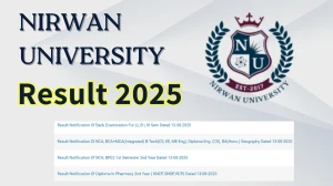 Nirwan University Result 2025 Released at nirwanuniversity.ac.in Direct Link to Download 1st and 3rd Semester Result