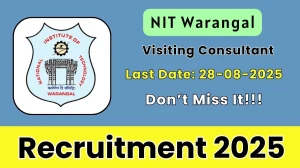 NIT Warangal Visiting Consultant Recruitment 2025 - Apply Online