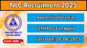 NLC Apprentice Recruitment 2025 - Apply Online for 45 Posts