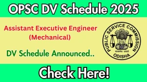 OPSC Assistant Executive Engineer (Mechanical) DV Schedule 2025: Check Document Verification Date @ opsc.gov.in