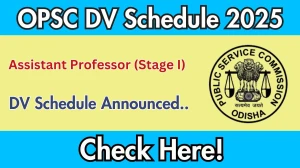 OPSC Assistant Professor (Stage I) DV Schedule 2025: Check Document Verification Date @ opsc.gov.in