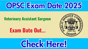 OPSC VAS Exam Date 2025 Out for 506 Posts at opsc.gov.in Check Details Here OPSC VAS Exam Date 2025 Out for 506 Posts at opsc.gov.in Check Details Here