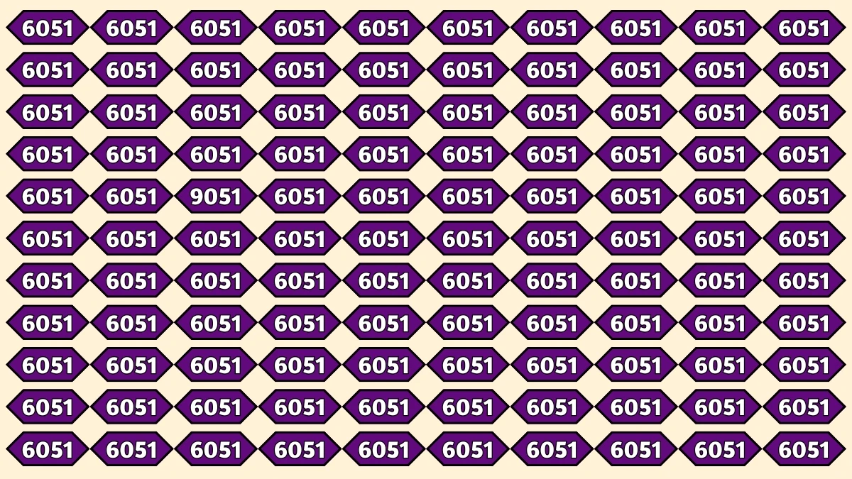 Optical Illusion Puzzle IQ Test: Within 9 Seconds Spot The Number 9051 among 6051s