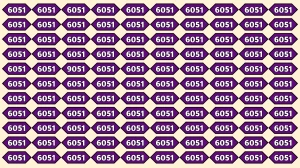Optical Illusion Puzzle IQ Test: Within 9 Seconds Spot The Number 9051 among 6051s