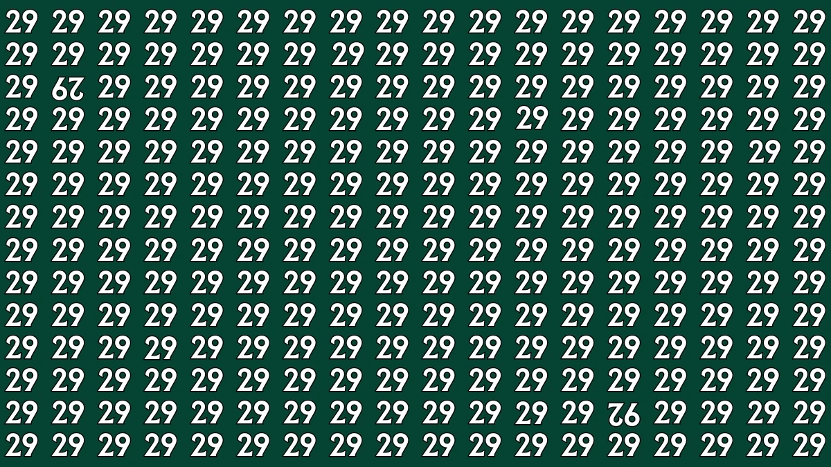 Optical Illusion: Within 6 Seconds Spot The Inverted 29 and 92 among 29s