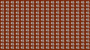 Optical Illusion: Within 6 Seconds Spot The Inverted 45 and 54 among 45s