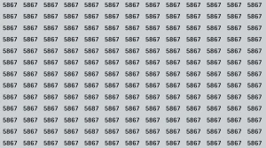Optical Illusion: Within 7 Seconds Spot The Number 5687 among 5867s