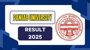 Panjab University Result 2025 Released at puexam.in Direct Link to Download 1st, 2nd, and 3rd  Semester Result