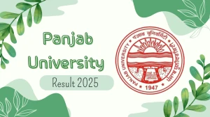 Panjab University Result 2025 Released at puexam.in Direct Link to Download 1st and 3rd Semester Result