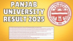 Panjab University Result 2025 Released at puexam.in Direct Link to Download 1st Semester Result