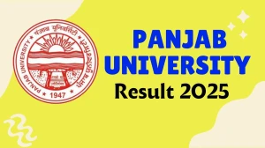 Panjab University Result 2025 Released at puexam.in Direct Link to Download 2nd, 5th and 6th Semester Result