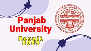 Panjab University Result 2025 Released at puexam.in Direct Link to Download 2nd, 6th, and 7th Semester Result